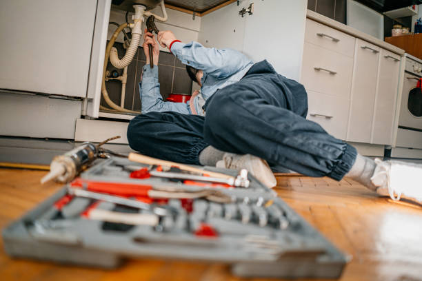 Best Water Softener Installation  in Greensboro, AL