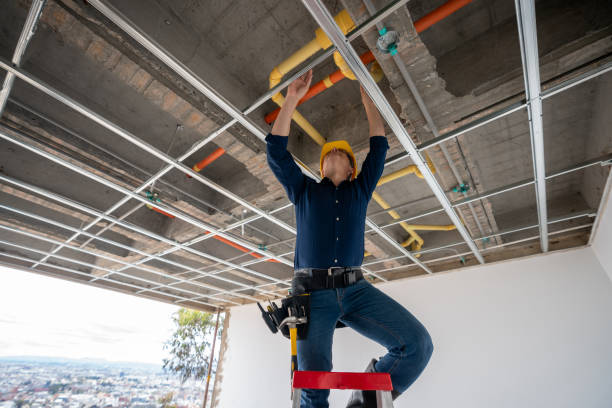 Best Leak Detection Services  in Greensboro, AL