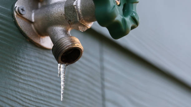 Best Best Plumbers Near Me  in Greensboro, AL