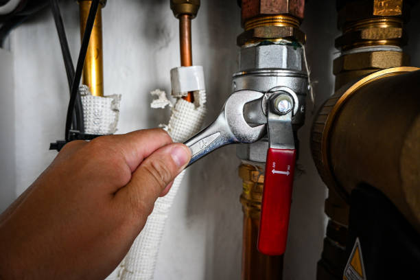Best Septic Systems  in Greensboro, AL